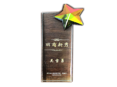丽商新秀